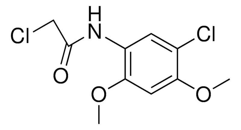 Sigma-Aldrich 2,5'-DICHLORO-2',4'-DIMETHOXYACETANILIDE,AldrichCPR