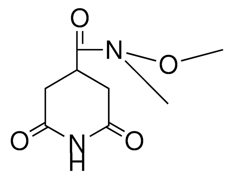 Sigma-Aldrich 2,6-DIOXO-N-METHOXY-N-METHYL-4-PIPERIDINE CARBOXAMIDE，AldrichCPR