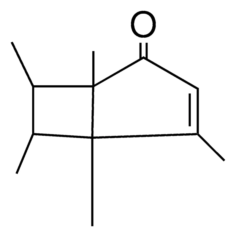 Sigma-Aldrich 1,4,5,6,7-PENTAMETHYL-BICYCLO(3.2.0)HEPT-3-EN-2-ONE，AldrichCPR