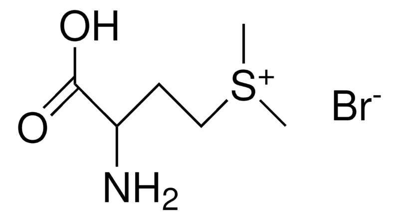 Sigma-Aldrich (3-AMINO-3-CARBOXYPROPYL)DIMETHYLSULFONIUM BROMIDE，AldrichCPR