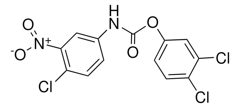 Sigma-Aldrich 3,4-DICHLOROPHENYL N-(4-CHLORO-3-NITROPHENYL)CARBAMATE,AldrichCPR