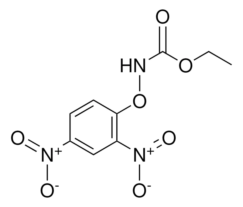 Sigma-Aldrich ETHYL (2,4-DINITROPHENOXY)CARBAMATE,AldrichCPR