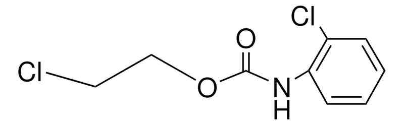 Sigma-Aldrich 2-CHLOROETHYL N-(2-CHLOROPHENYL)CARBAMATE,AldrichCPR