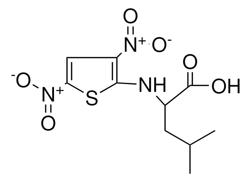 Sigma-Aldrich 2-(3,5-DINITRO-THIOPHEN-2-YLAMINO)-4-METHYL-PENTANOIC ACID,AldrichCPR