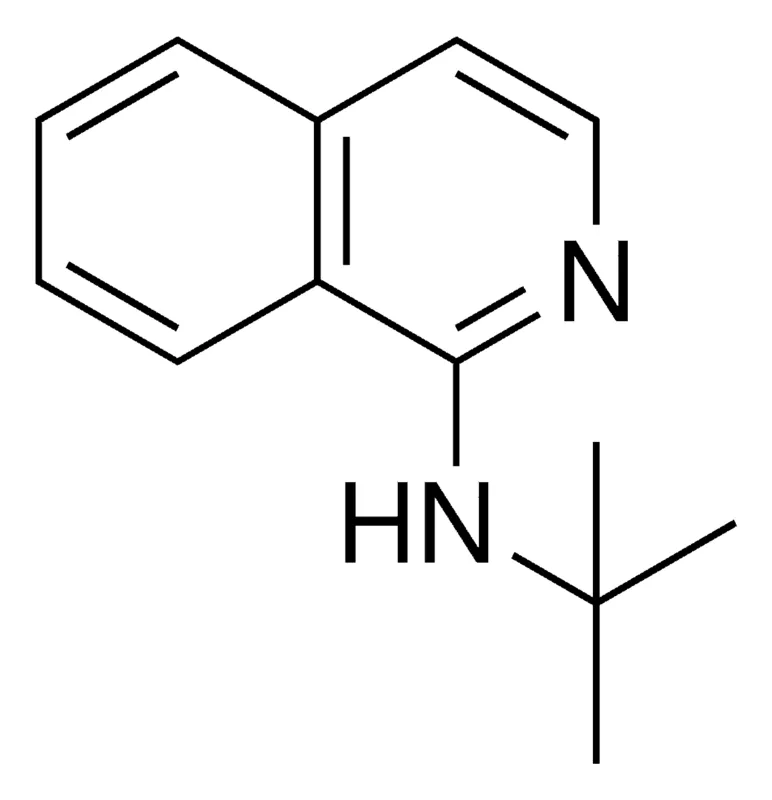 Sigma-Aldrich TERT-BUTYL-ISOQUINOLIN-1-YL-AMINE，AldrichCPR