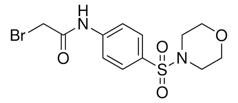 Sigma-Aldrich 2-BROMO-N-(4-(MORPHOLINE-4-SULFONYL)-PHENYL)-ACETAMIDE,AldrichCPR
