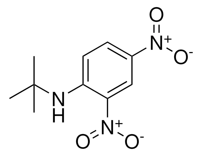 Sigma-Aldrich TERT-BUTYL-(2,4-DINITRO-PHENYL)-AMINE,AldrichCPR