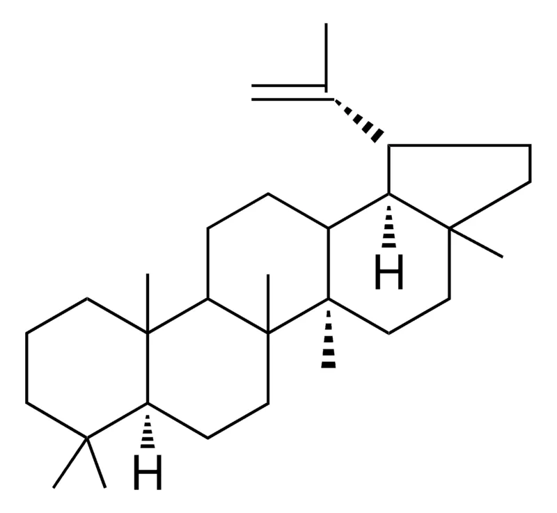 Sigma-Aldrich LUP-20(29)-ENE,AldrichCPR