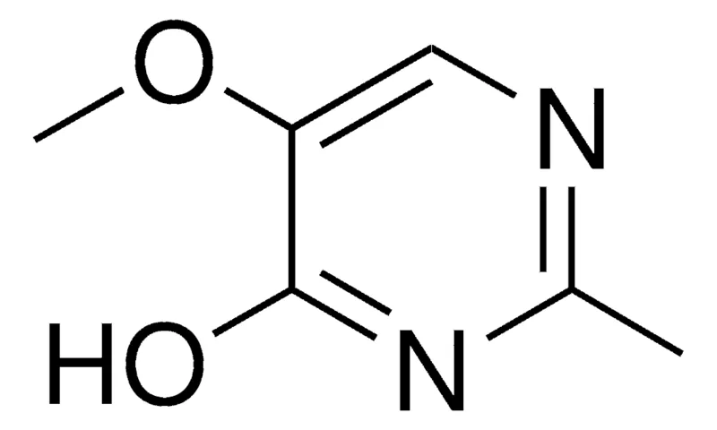 Sigma-Aldrich 5-METHOXY-2-METHYL-PYRIMIDIN-4-OL,AldrichCPR