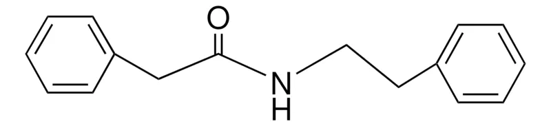 Sigma-Aldrich N-PHENETHYL-2-PHENYLACETAMIDE,AldrichCPR