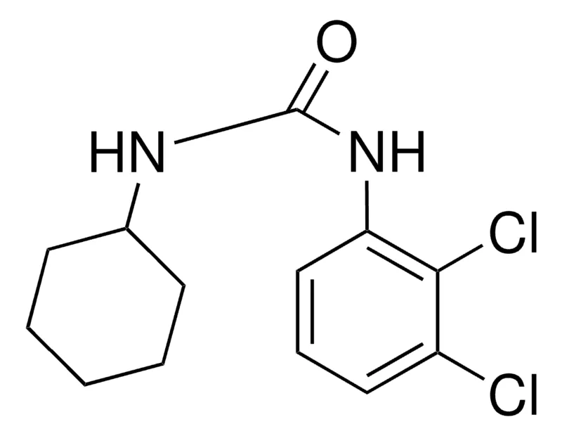 Sigma-Aldrich 1-CYCLOHEXYL-3-(2,3-DICHLOROPHENYL)UREA,AldrichCPR