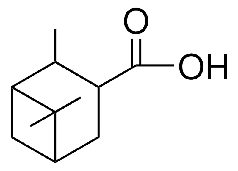 Sigma-Aldrich (+)-3-PINANECARBOXYLIC ACID，AldrichCPR