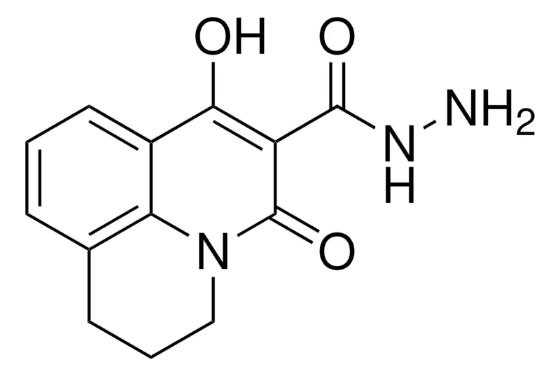 Sigma-Aldrich 7-HYDROXY-5-OXO-2,3-DIHYDRO-1H,5H-PYRIDO(3,2,1-IJ)QUINOLINE-6-CARBOHYDRAZIDE，AldrichCPR
