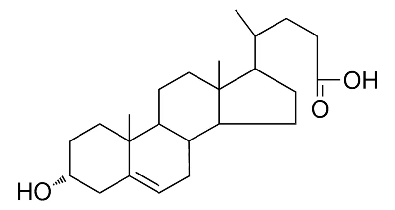 Sigma-Aldrich 3-OXY-CHOLENIC ACID,AldrichCPR
