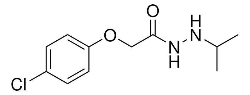 Sigma-Aldrich 2-(4-CHLOROPHENOXY)-N'-ISOPROPYLACETOHYDRAZIDE，AldrichCPR