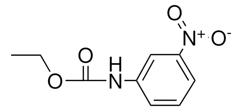 Sigma-Aldrich ETHYL 3-NITROPHENYLCARBAMATE,AldrichCPR