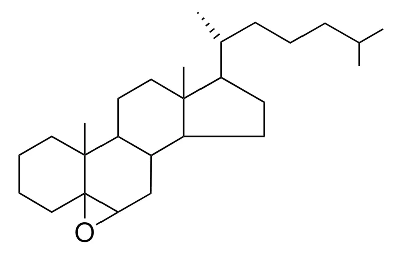 Sigma-Aldrich 5,6-BETA-EPOXY-5-BETA-CHOLESTANE,AldrichCPR