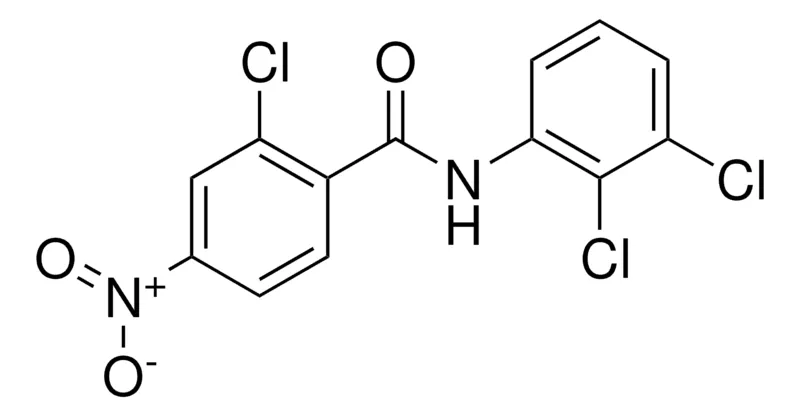 Sigma-Aldrich 2-CHLORO-N-(2,3-DICHLOROPHENYL)-4-NITROBENZAMIDE,AldrichCPR