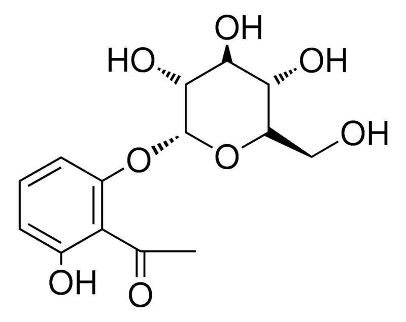 Sigma-Aldrich 1-(2-HYDROXY-6-(GLUCOPYRANOSYL)-PHENYL)-ETHANONE,AldrichCPR