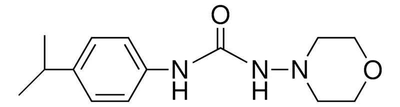 Sigma-Aldrich 1-(4-ISOPROPYL-PHENYL)-3-MORPHOLIN-4-YL-UREA,AldrichCPR