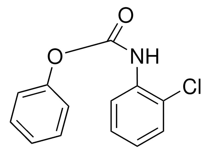 Sigma-Aldrich PHENYL N-(2-CHLOROPHENYL)CARBAMATE,AldrichCPR