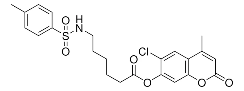 Sigma-Aldrich 6-(TOLUENE-4-SULFONYLAMINO)-HEXANOIC ACID 6-CL-4-ME-2-OXO-2H-CHROMEN-7-YL ESTER，AldrichCPR
