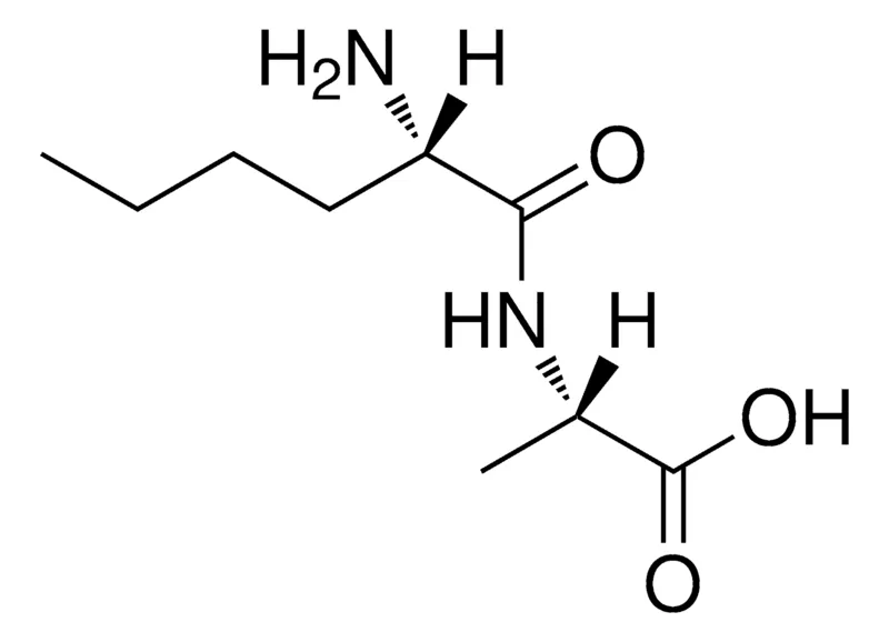 Sigma-Aldrich L-NORLEUCYL-L-ALANINE,AldrichCPR