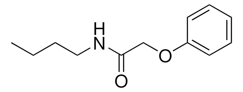 Sigma-Aldrich N-BUTYL-2-PHENOXY-ACETAMIDE,AldrichCPR