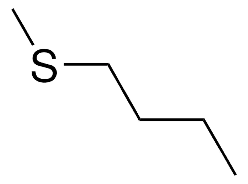 Sigma-Aldrich BUTYL METHYL SULFIDE,AldrichCPR