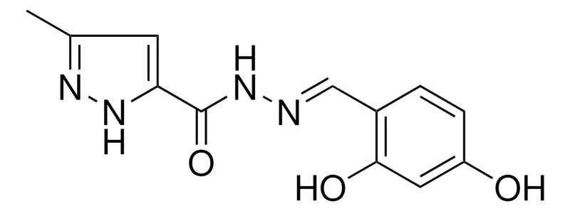 Sigma-Aldrich 5-METHYL-2H-PYRAZOLE-3-CARBOXYLIC ACID (2,4-DIHYDROXY-BENZYLIDENE)-HYDRAZIDE,AldrichCPR