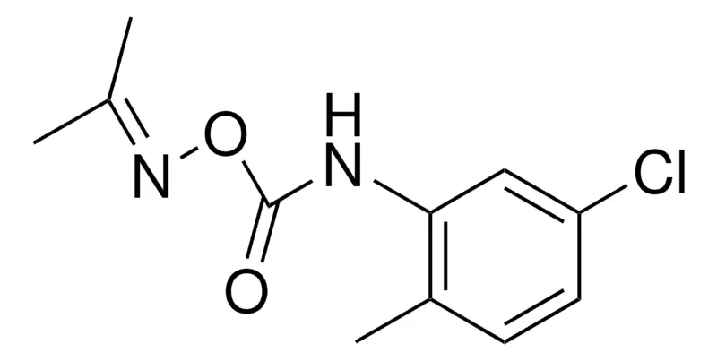 Sigma-Aldrich O-(N-(5-CHLORO-2-METHYLPHENYL)CARBAMOYL)ACETONE OXIME,AldrichCPR
