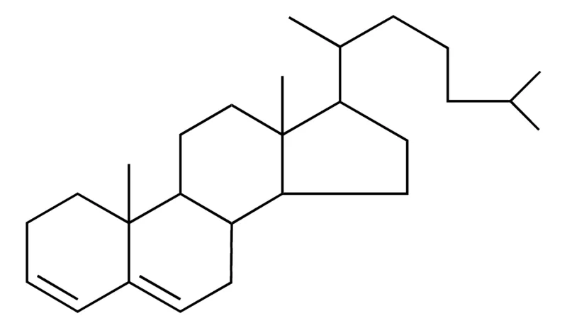 Sigma-Aldrich 17-(1,5-DIMETHYL-HEXYL)-10,13-DIMETHYL-DODECAHYDRO-1H-CYCLOPENTA(A)PHENANTHRENE,AldrichCPR