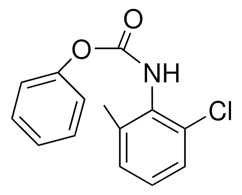 Sigma-Aldrich PHENYL N-(2-CHLORO-6-METHYLPHENYL)CARBAMATE,AldrichCPR