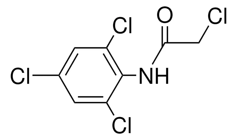 Sigma-Aldrich 2,2',4',6'-TETRACHLOROACETANILIDE,AldrichCPR