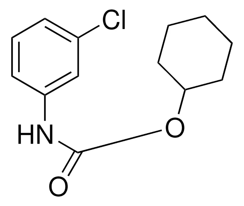 Sigma-Aldrich CYCLOHEXYL 3'-CHLOROCARBANILATE,AldrichCPR