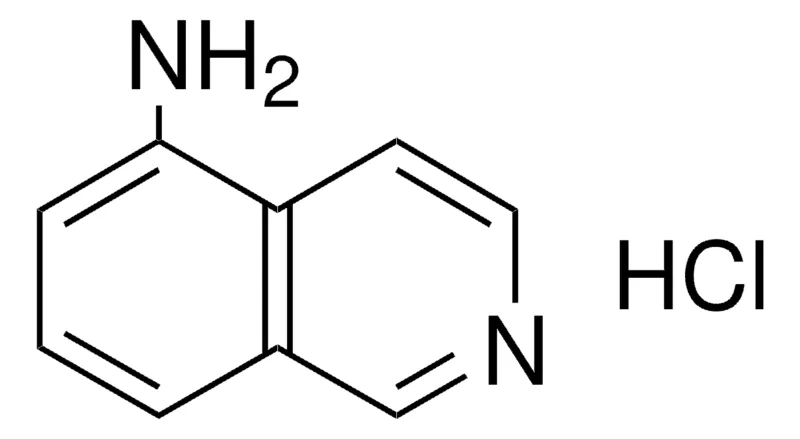 Sigma-Aldrich 5-AMINOISOQUINOLINE DIHYDROCHLORIDE,AldrichCPR