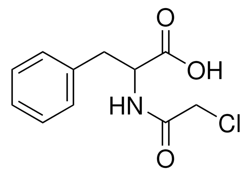 Sigma-Aldrich N-(2-CHLOROACETYL)-L-PHENYLALANINE,AldrichCPR