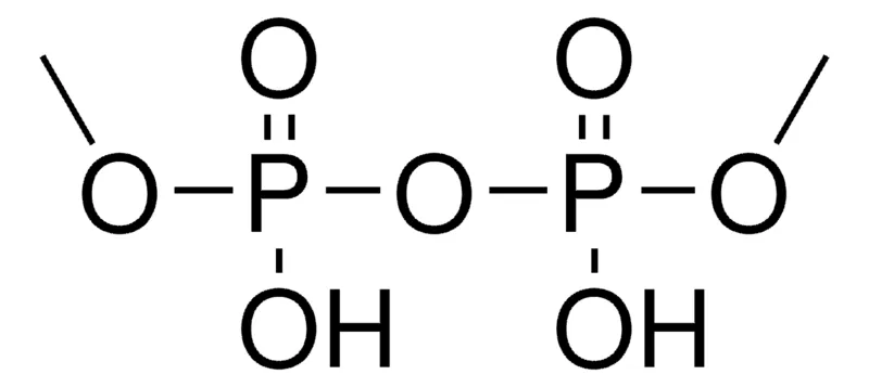 Sigma-Aldrich DIMETHYL ACID PYROPHOSPHATE，AldrichCPR