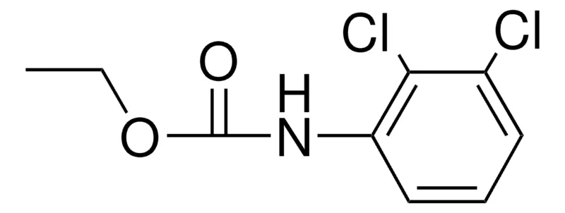 Sigma-Aldrich ETHYL 2,3-DICHLOROPHENYLCARBAMATE,AldrichCPR