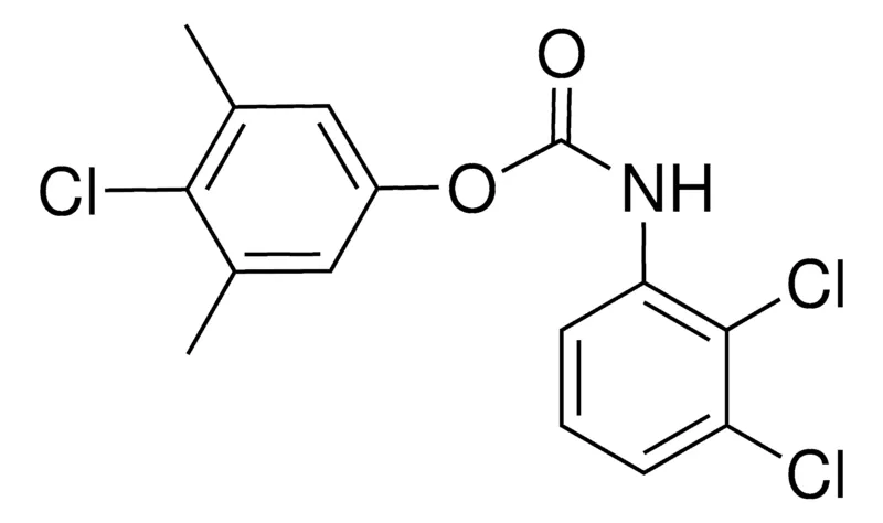 Sigma-Aldrich 4-CHLORO-3,5-DIMETHYLPHENYL N-(2,3-DICHLOROPHENYL)CARBAMATE，AldrichCPR