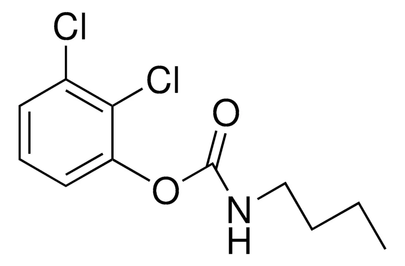 Sigma-Aldrich 2,3-DICHLOROPHENYL N-BUTYLCARBAMATE,AldrichCPR