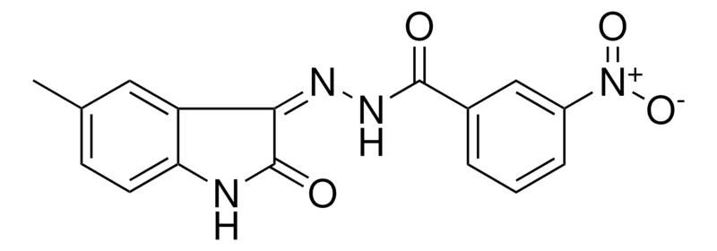 Sigma-Aldrich 3-NITRO-BENZOIC ACID (5-METHYL-2-OXO-1,2-DIHYDRO-INDOL-3-YLIDENE)-HYDRAZIDE,AldrichCPR