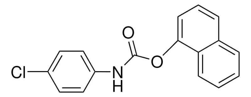 Sigma-Aldrich 1-NAPHTHYL N-(4-CHLOROPHENYL)CARBAMATE,AldrichCPR