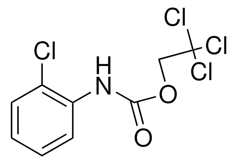 Sigma-Aldrich 2,2,2-TRICHLOROETHYL N-(2-CHLOROPHENYL)CARBAMATE,AldrichCPR