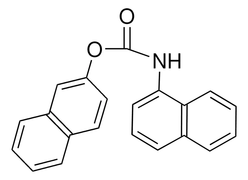 Sigma-Aldrich 2-NAPHTHYL N-(1-NAPHTHYL)CARBAMATE，AldrichCPR