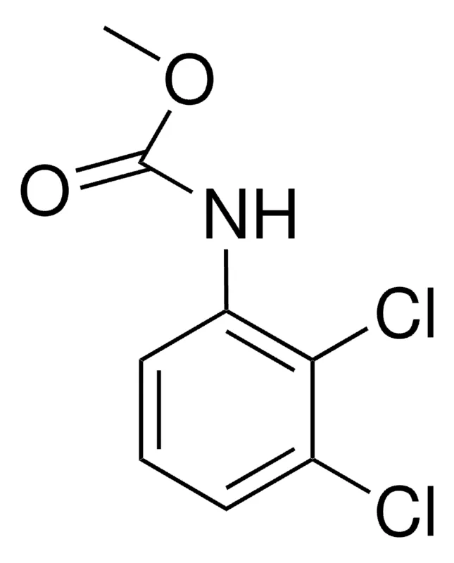 Sigma-Aldrich METHYL N-(2,3-DICHLOROPHENYL)CARBAMATE,AldrichCPR