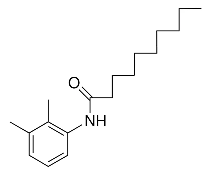 Sigma-Aldrich 2',3'-DECANOXYLIDIDE，AldrichCPR