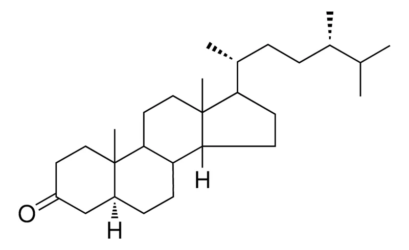 Sigma-Aldrich 5-ALPHA,14-BETA-ERGOSTAN-3-ONE,AldrichCPR