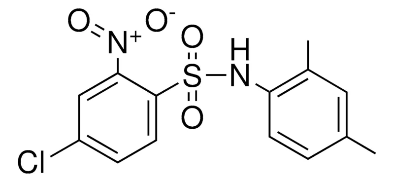 Sigma-Aldrich 4-CHLORO-N-(2,4-DIMETHYL-PHENYL)-2-NITRO-BENZENESULFONAMIDE,AldrichCPR
