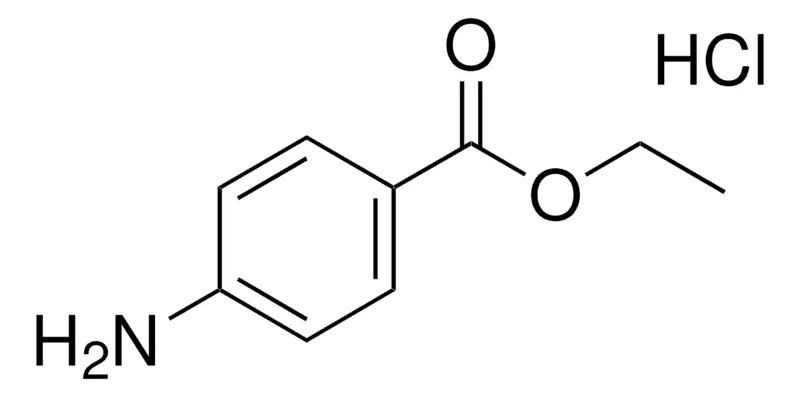 Sigma-Aldrich ETHYL 4-AMINOBENZOATE HYDROCHLORIDE,AldrichCPR